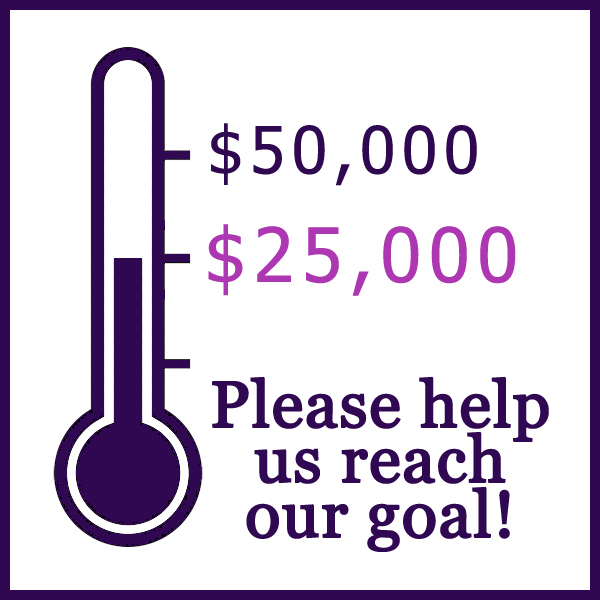 FundraiserThemometer25k