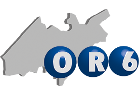 https://slc6a1connect.org/wp-content/uploads/2020/02/logo_OR6.png