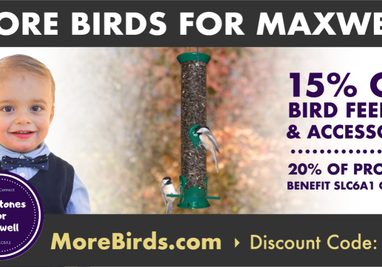Birds2